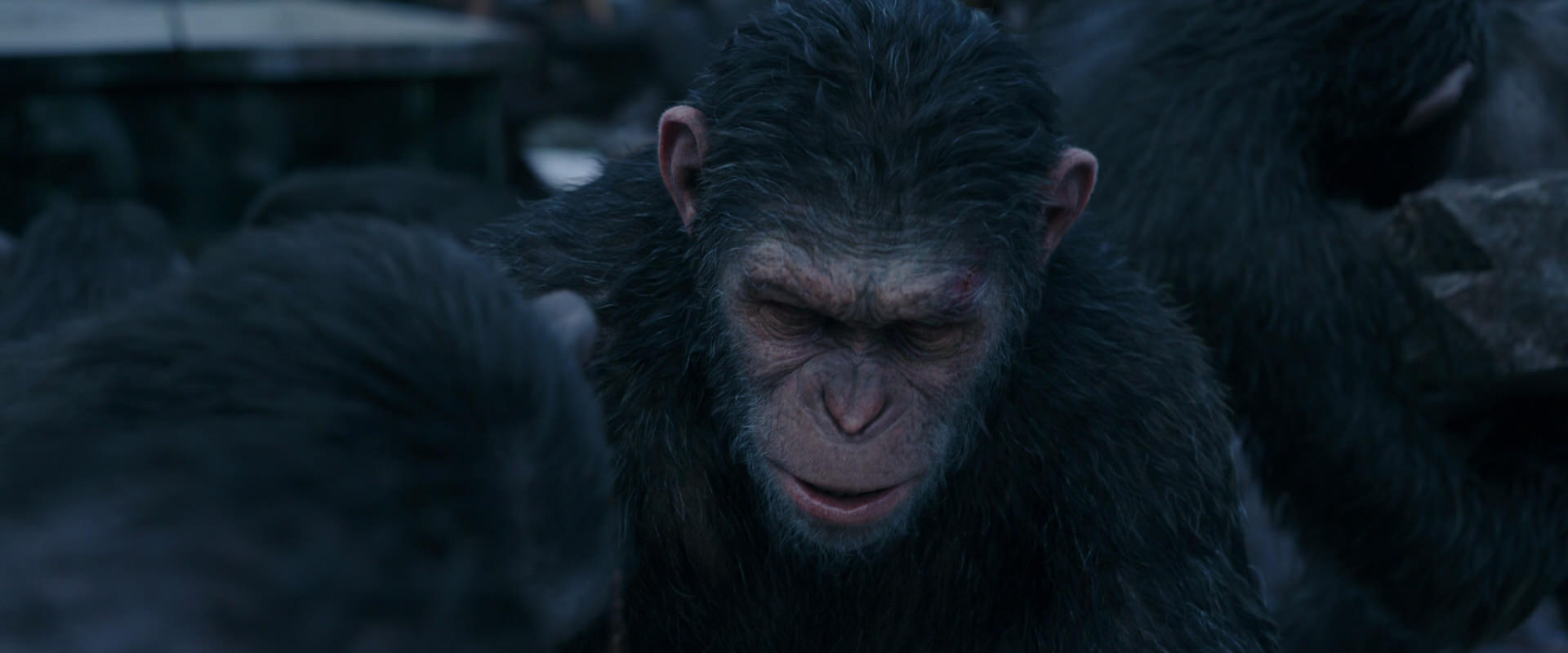 War for the Planet of the Apes (2017) screencap 8130
