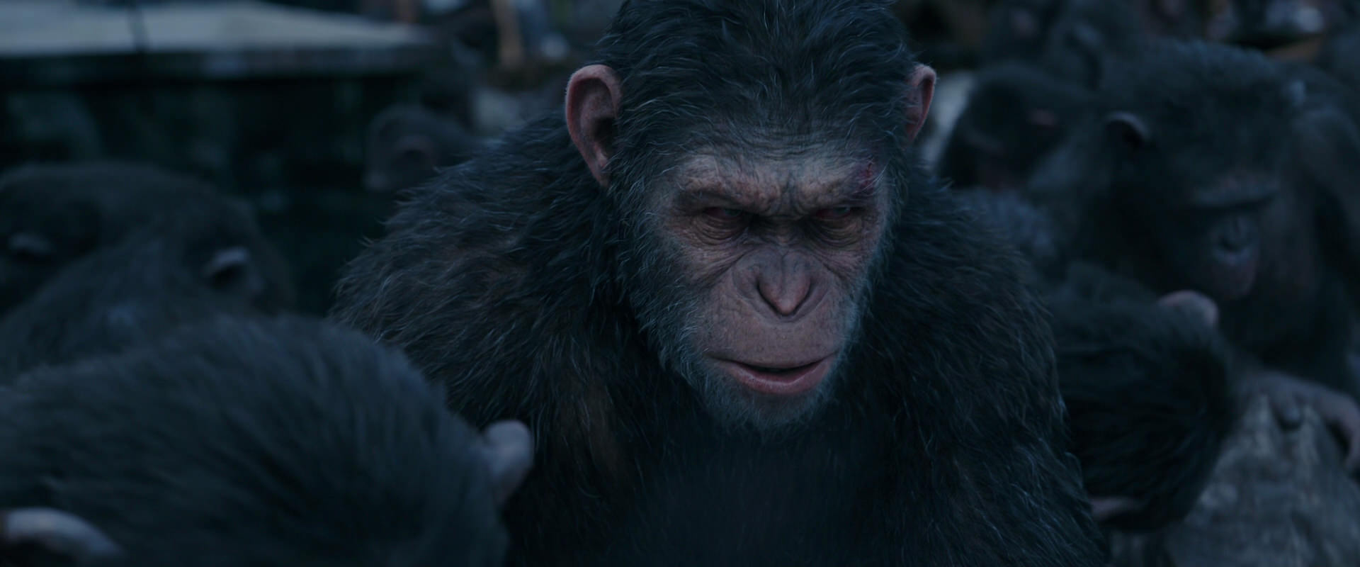 War for the Planet of the Apes (2017) HD screenshot 8132
