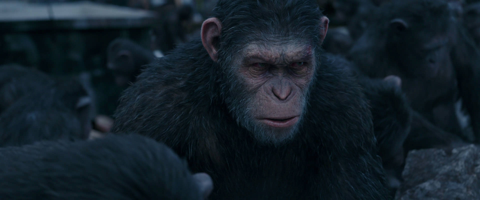 War for the Planet of the Apes (2017) screencap 8133