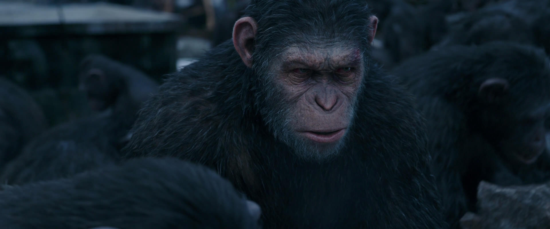 War for the Planet of the Apes (2017) movie still 8134