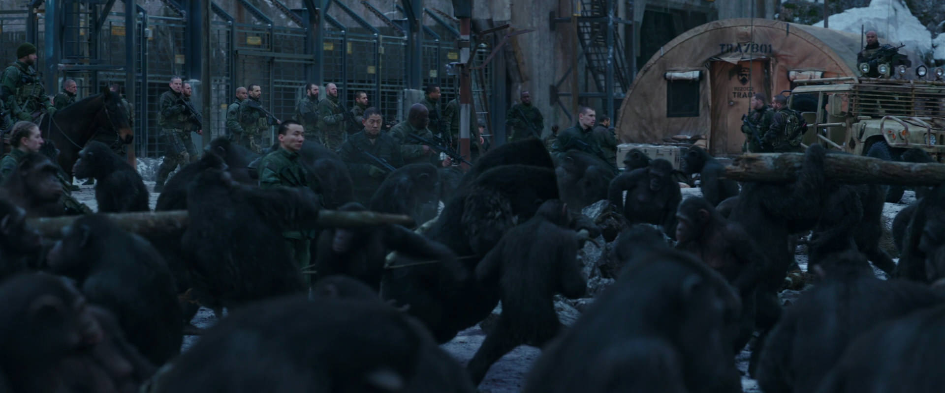 War for the Planet of the Apes (2017) HD screenshot 8135