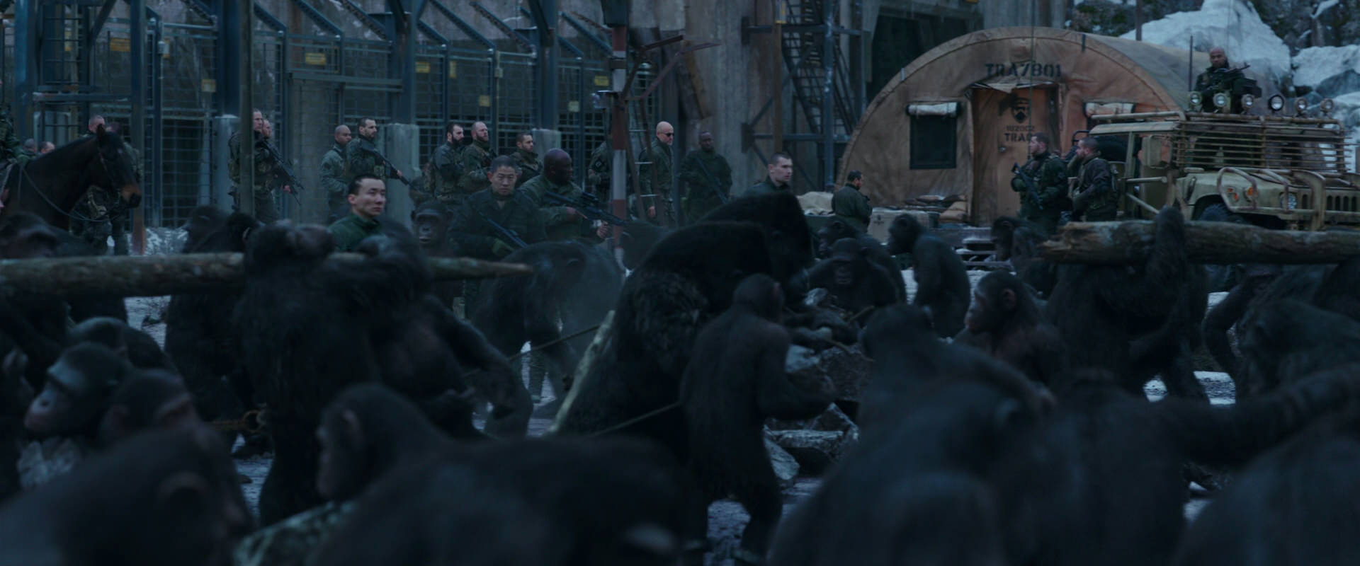 War for the Planet of the Apes (2017) screencap 8136