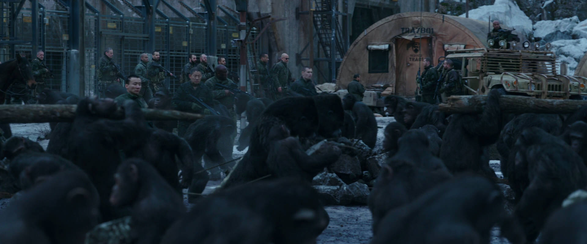 War for the Planet of the Apes (2017) movie still 8137