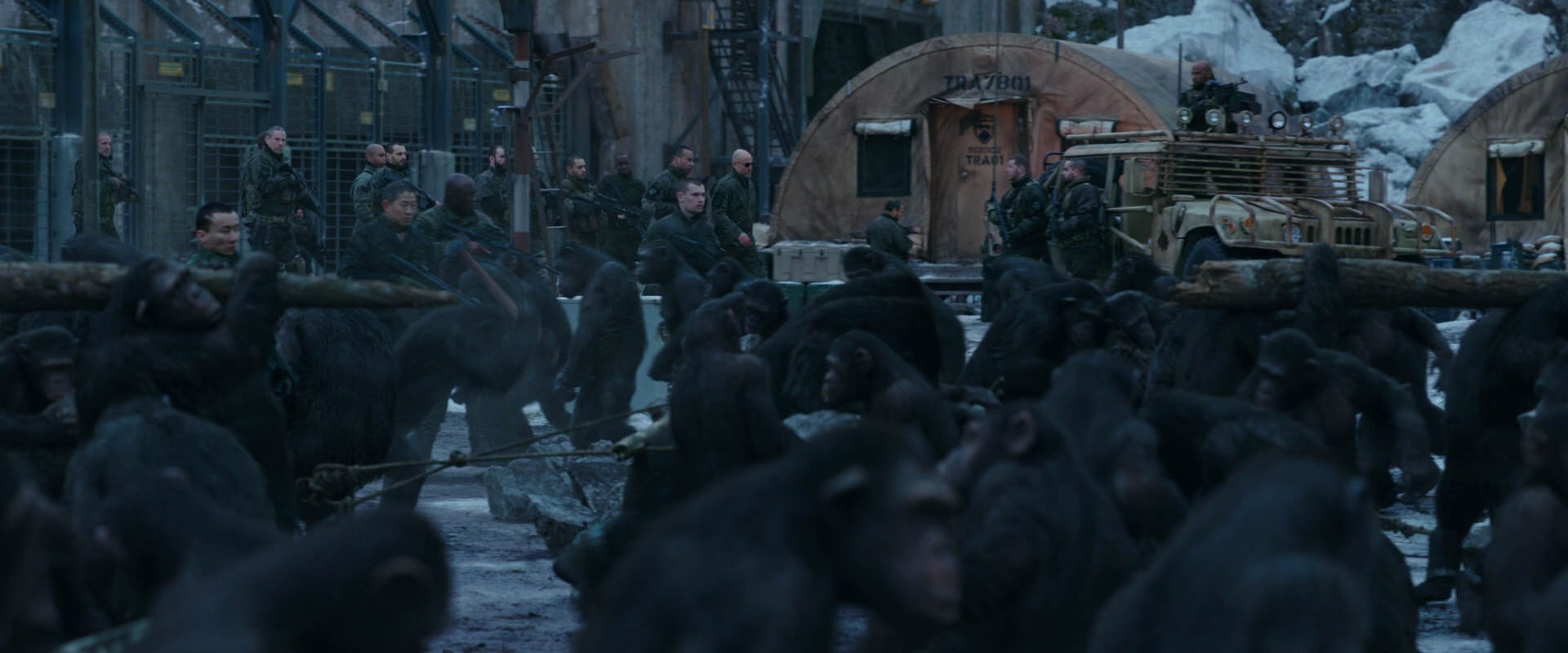 War for the Planet of the Apes (2017) screencap 8139