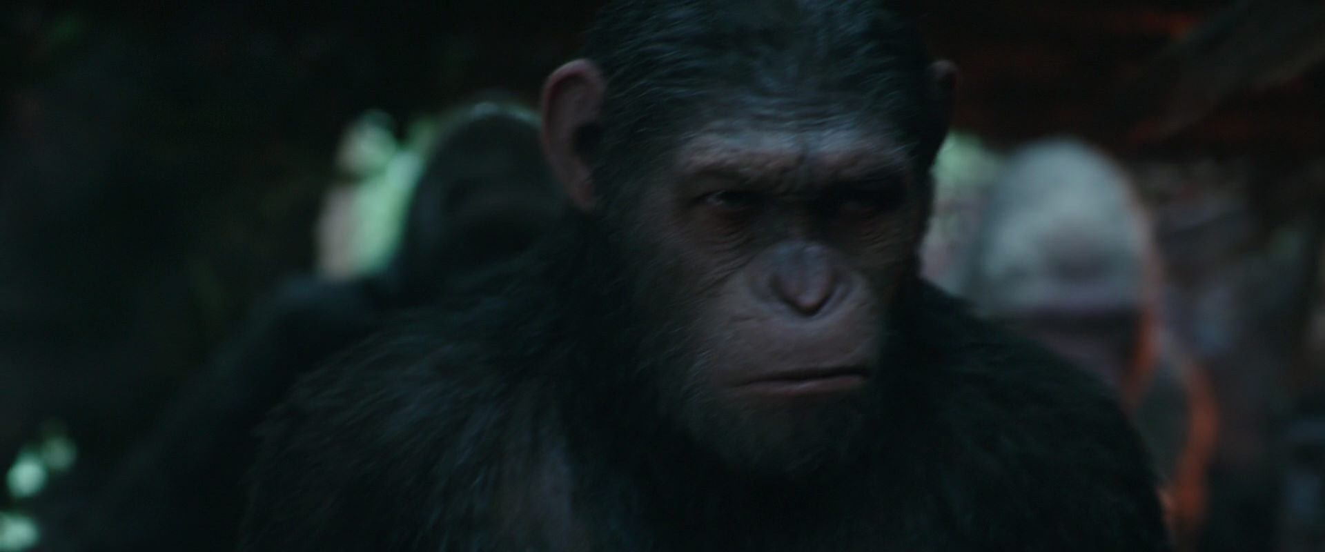 War for the Planet of the Apes (2017) movie still 814
