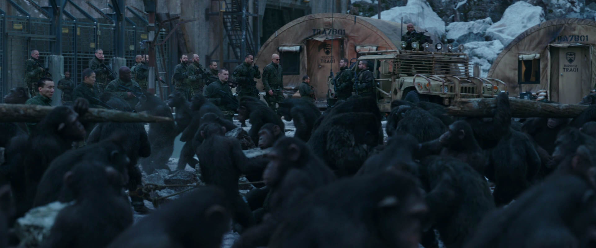 War for the Planet of the Apes (2017) HD screenshot 8141