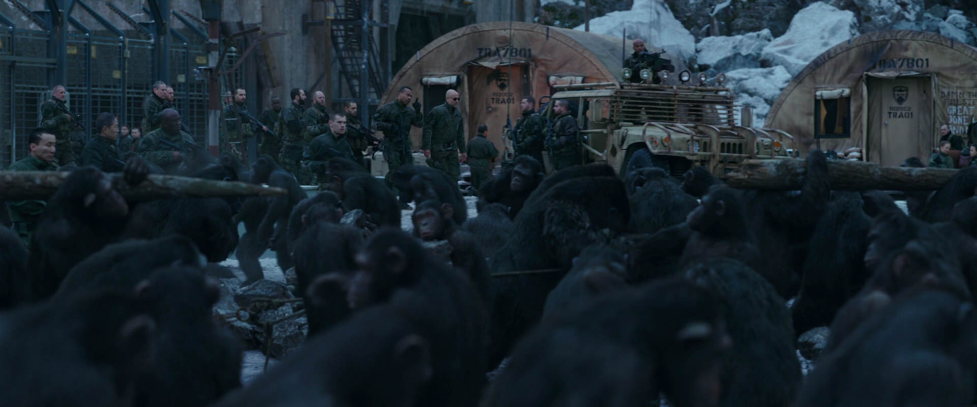 War for the Planet of the Apes (2017) screencap 8142