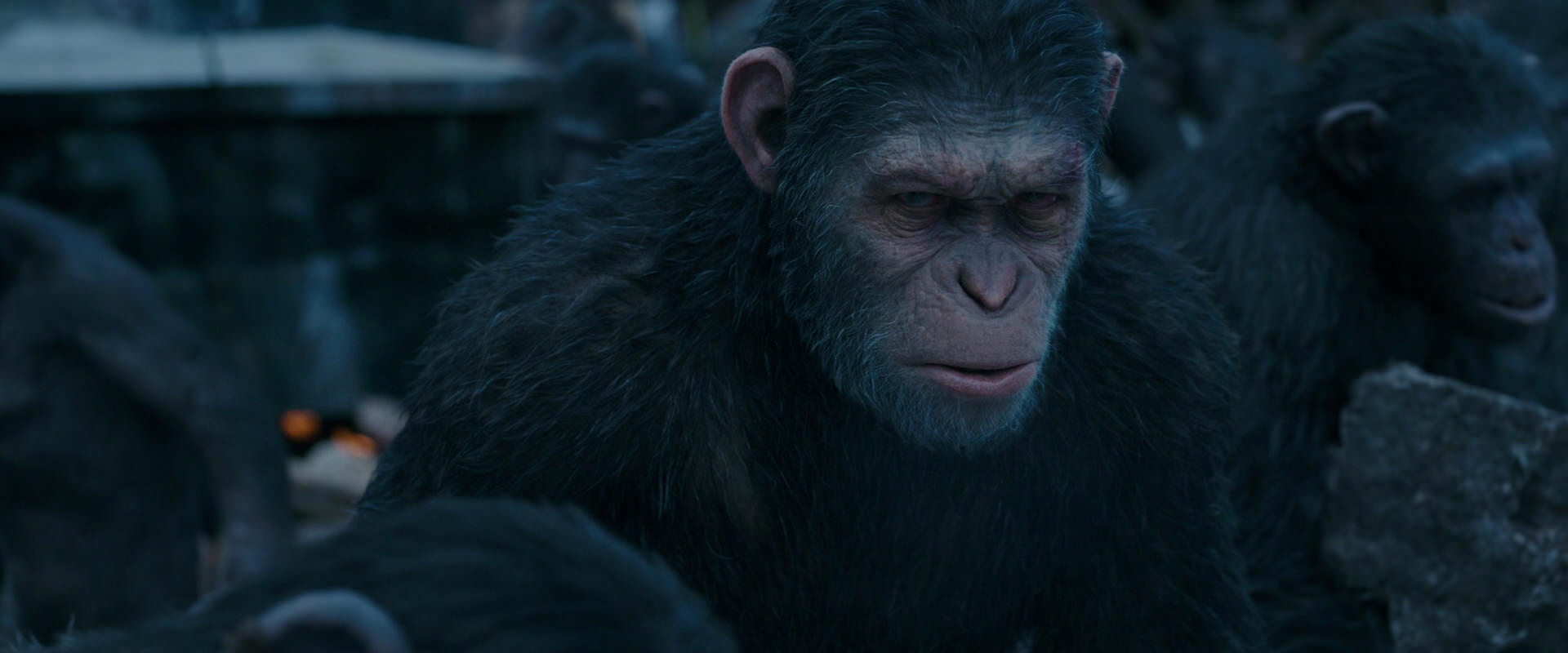 War for the Planet of the Apes (2017) movie still 8143