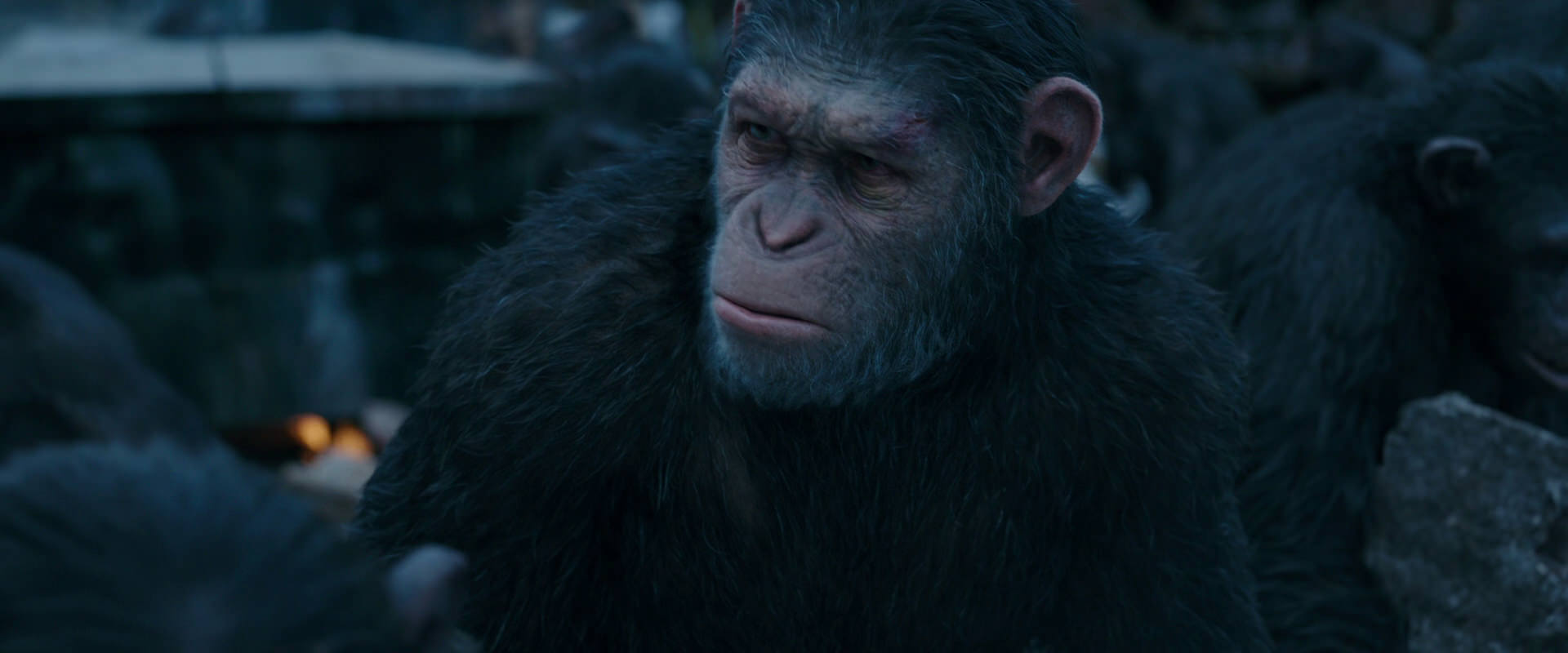 War for the Planet of the Apes (2017) HD screenshot 8144