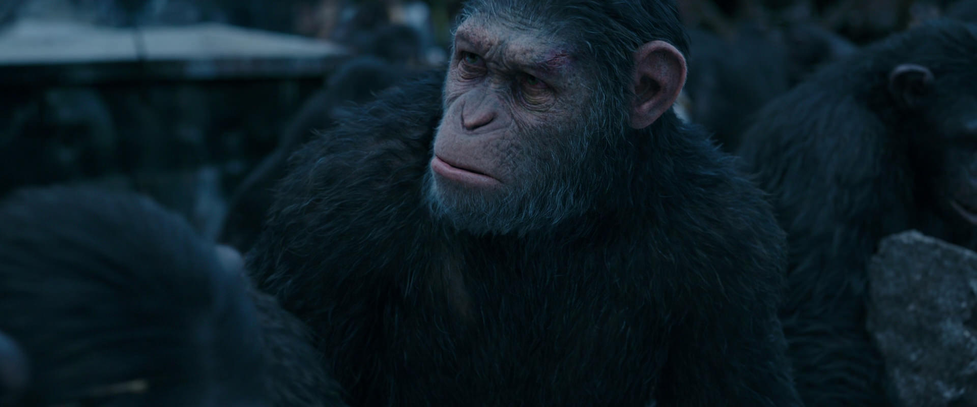 War for the Planet of the Apes (2017) screencap 8145