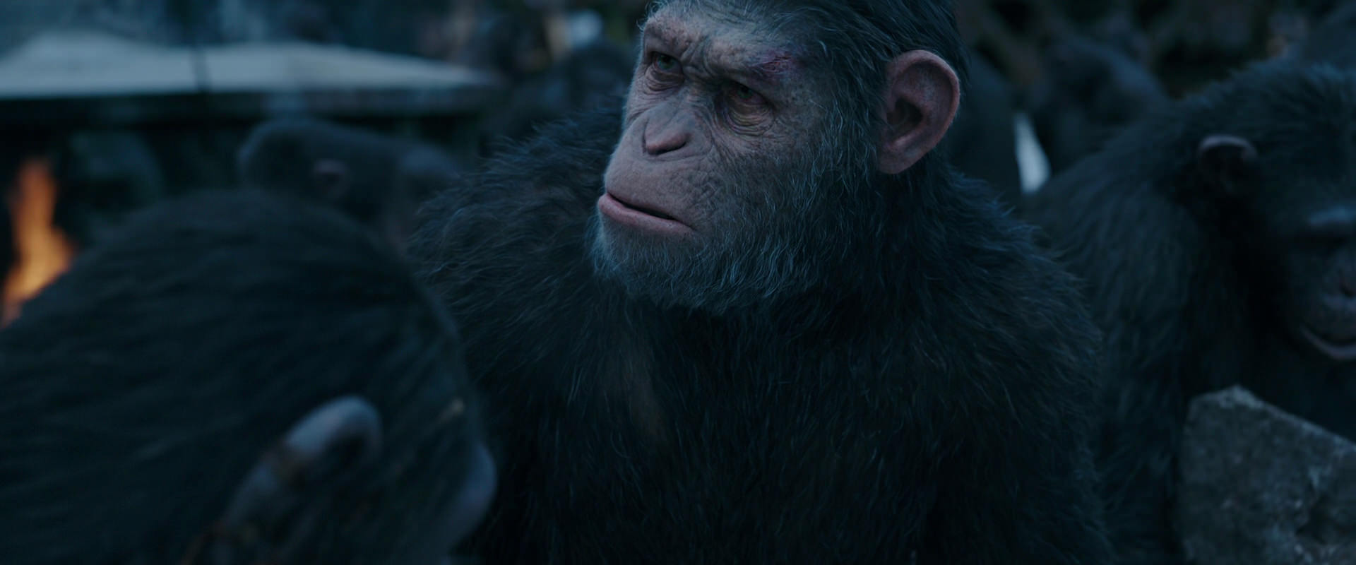 War for the Planet of the Apes (2017) movie still 8146