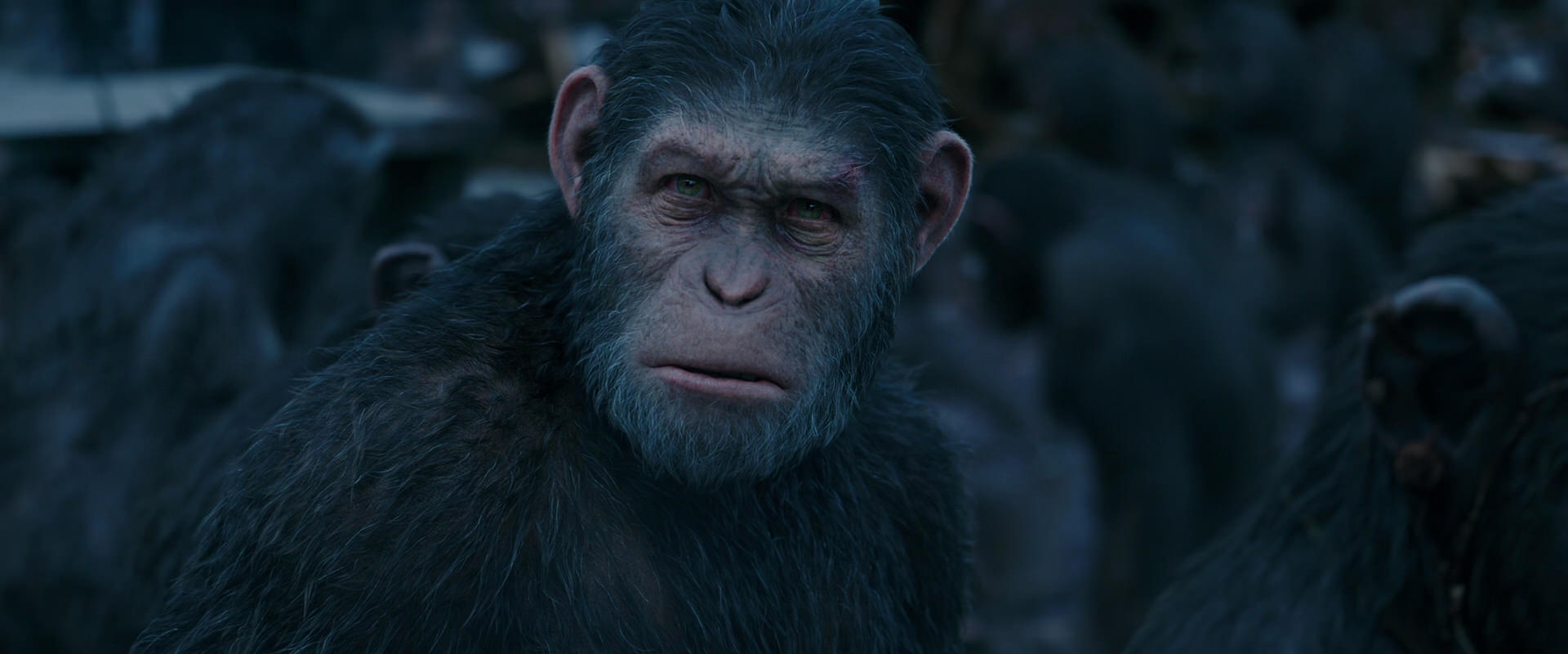 War for the Planet of the Apes (2017) screencap 8154