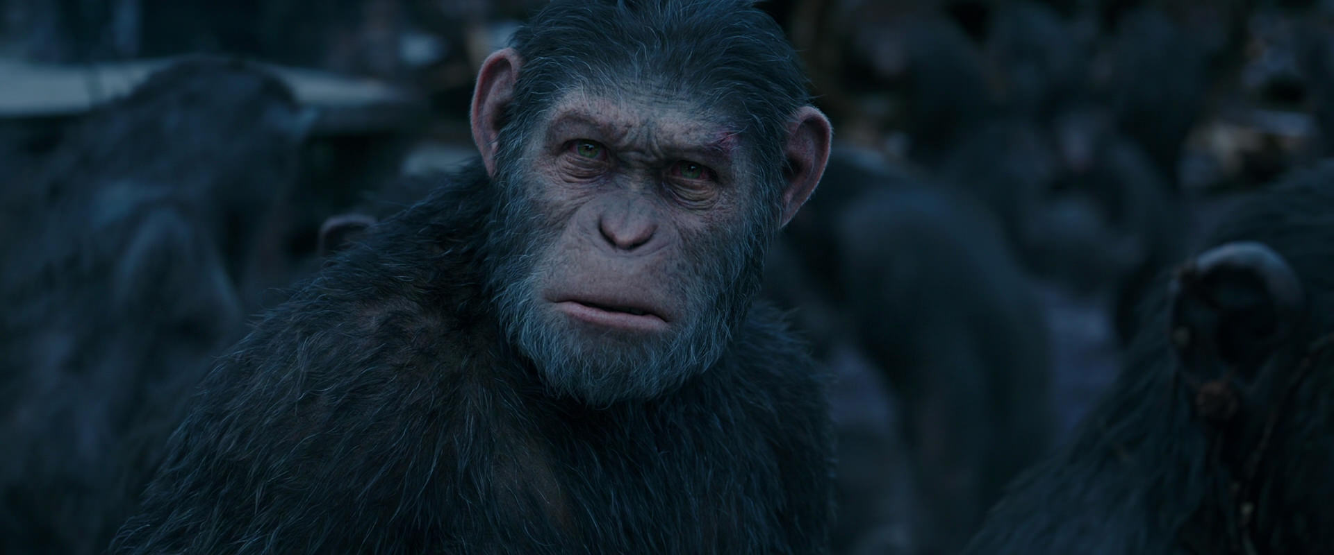 War for the Planet of the Apes (2017) movie still 8155
