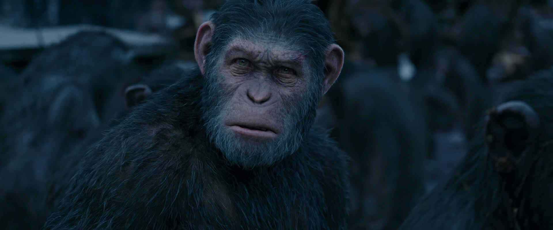 War for the Planet of the Apes (2017) HD screenshot 8156