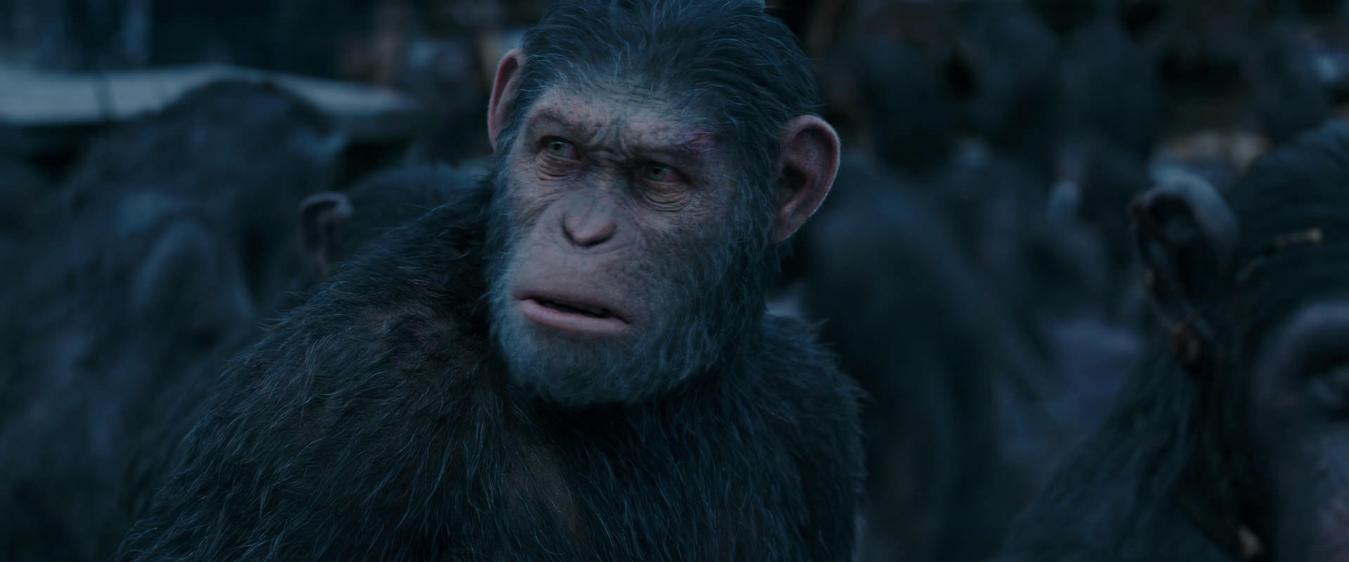 War for the Planet of the Apes (2017) screencap 8157