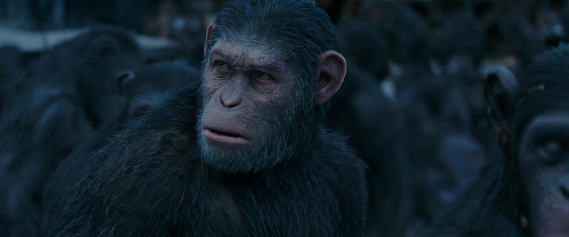 War for the Planet of the Apes (2017) movie still 8158