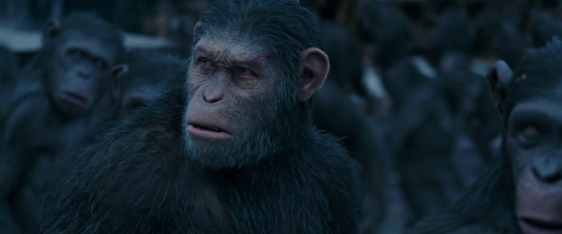 War for the Planet of the Apes (2017) HD screenshot 8159
