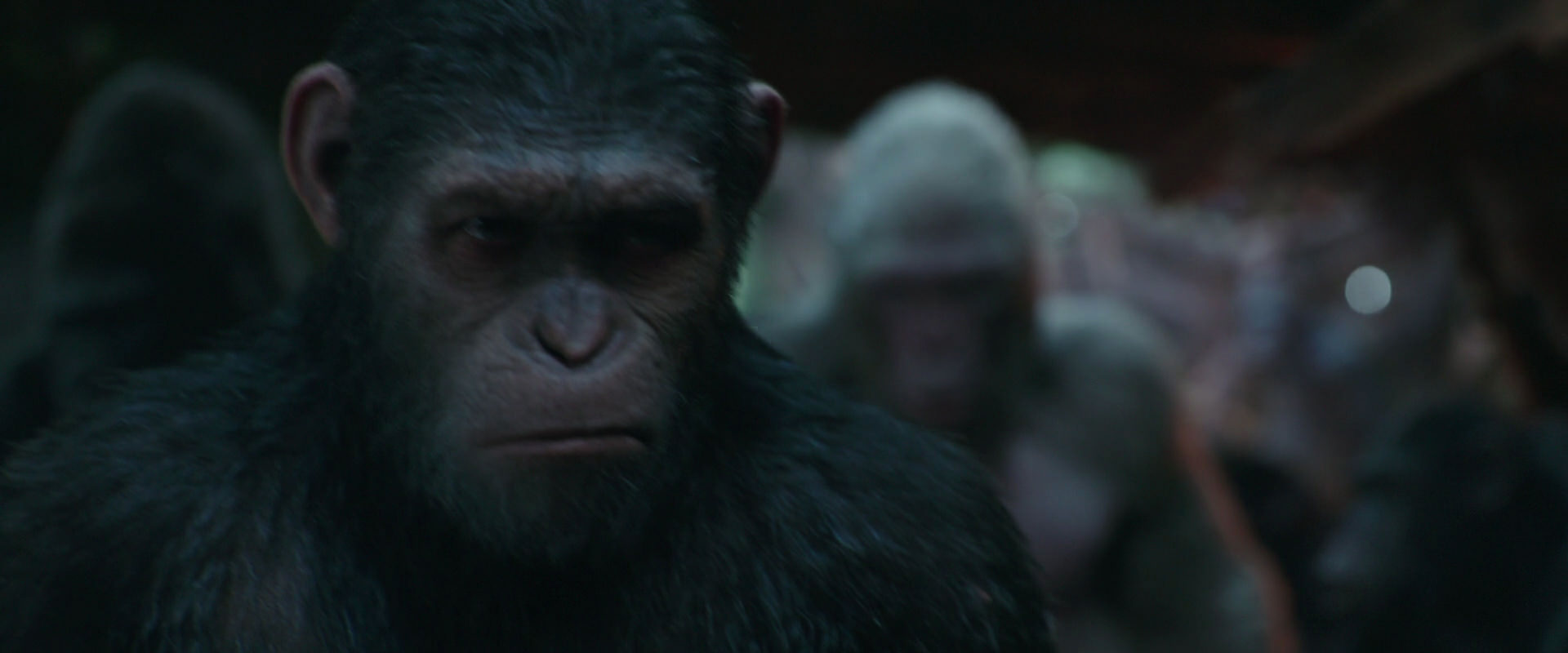 War for the Planet of the Apes (2017) screencap 816