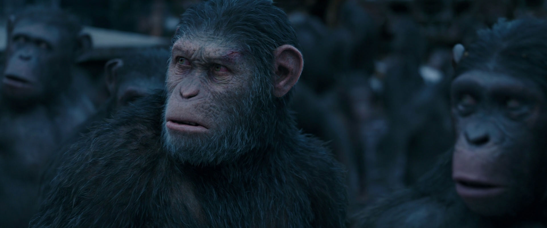 War for the Planet of the Apes (2017) screencap 8160