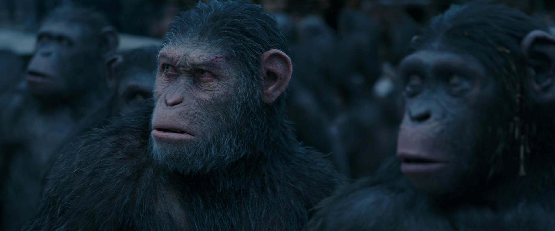 War for the Planet of the Apes (2017) movie still 8161