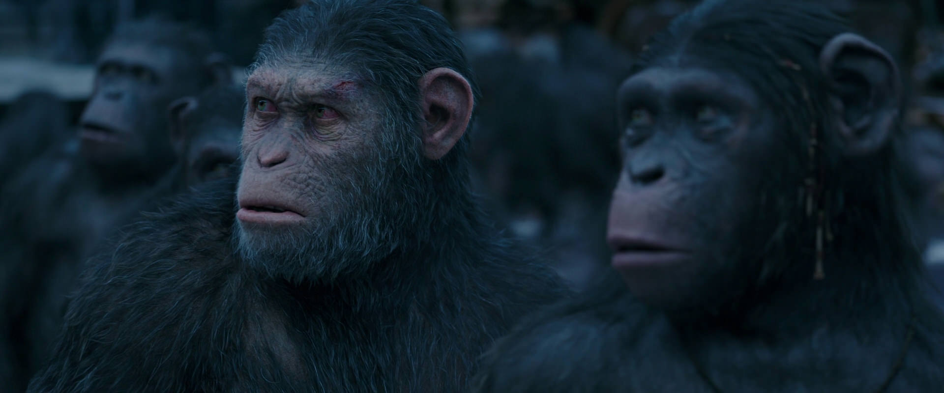 War for the Planet of the Apes (2017) HD screenshot 8162