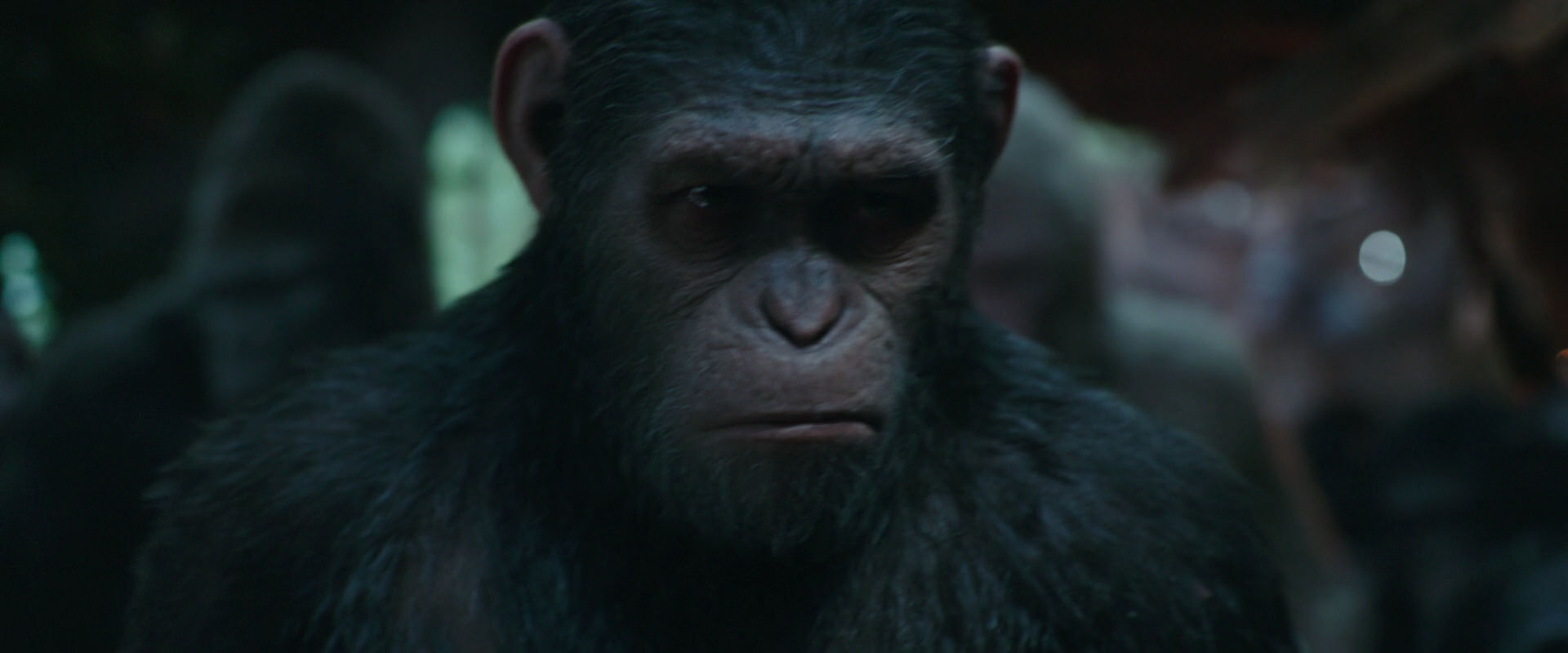 War for the Planet of the Apes (2017) movie still 817