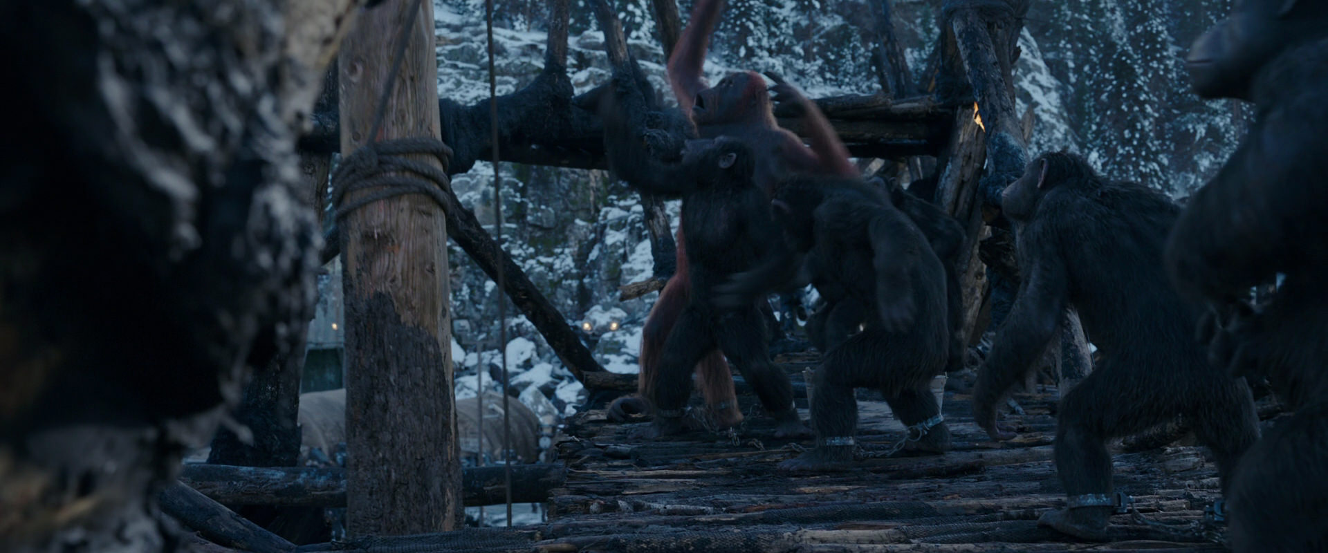 War for the Planet of the Apes (2017) screencap 8172