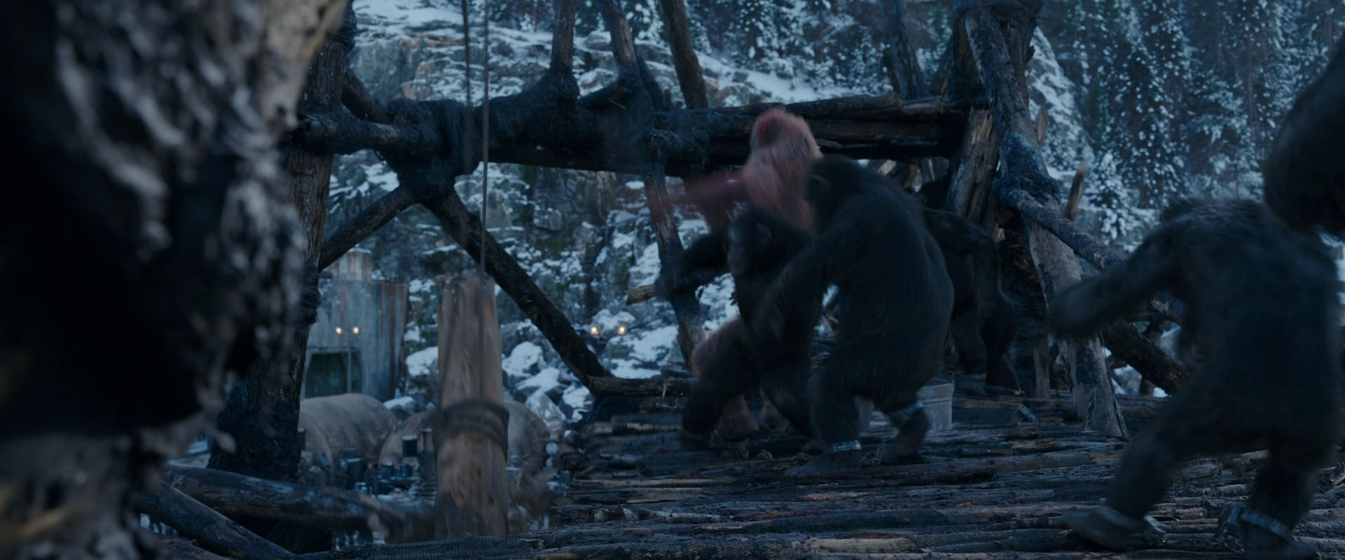 War for the Planet of the Apes (2017) movie still 8173