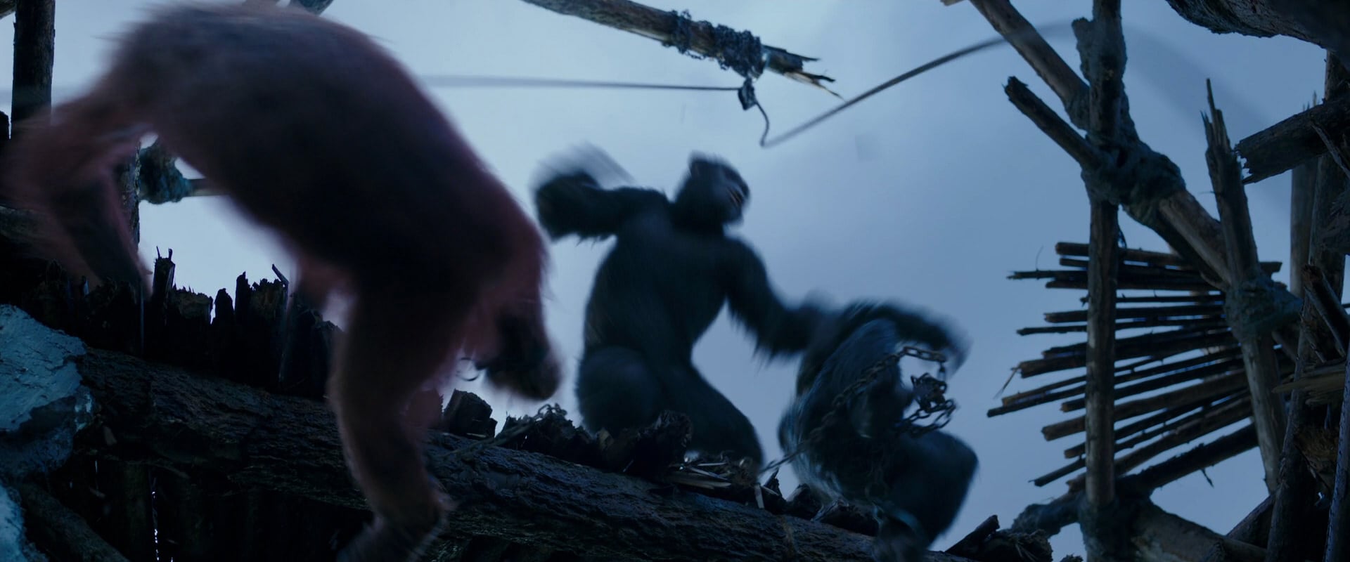 War for the Planet of the Apes (2017) movie still 8176