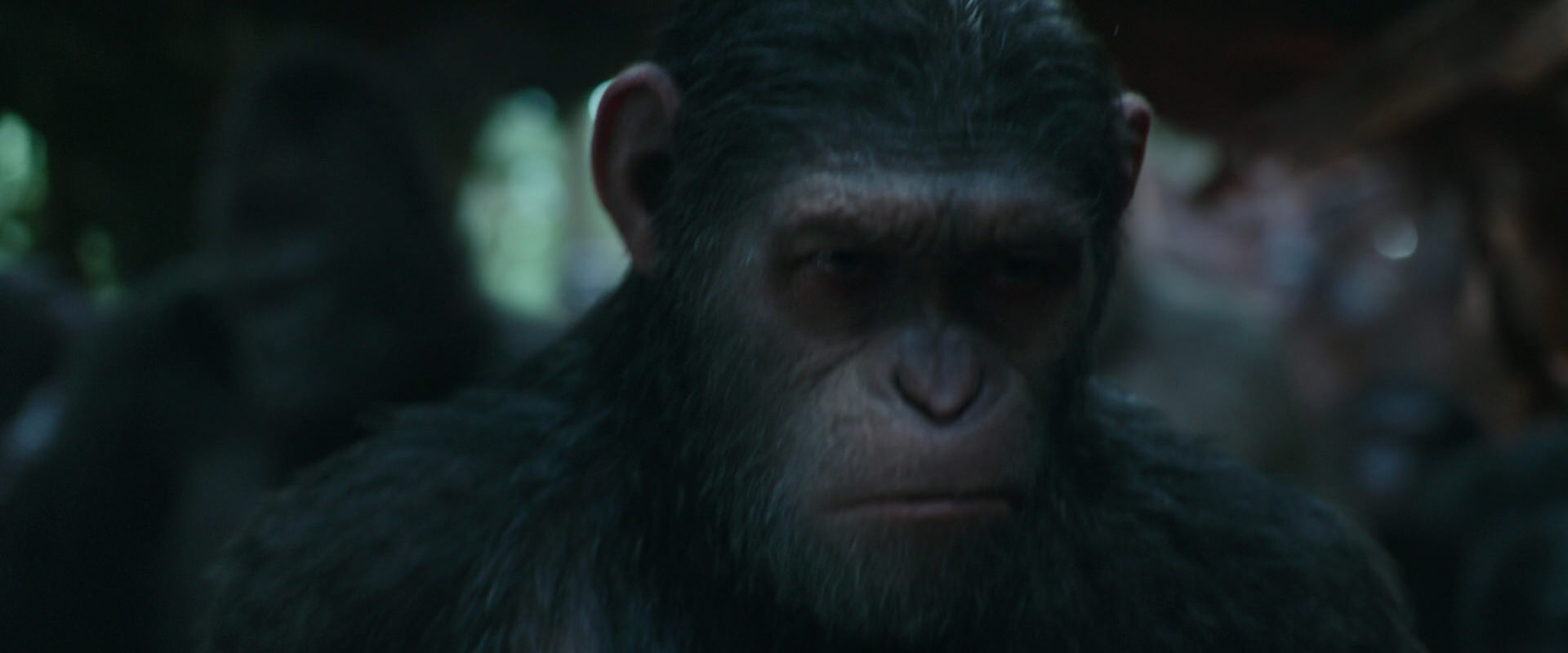 War for the Planet of the Apes (2017) HD screenshot 818
