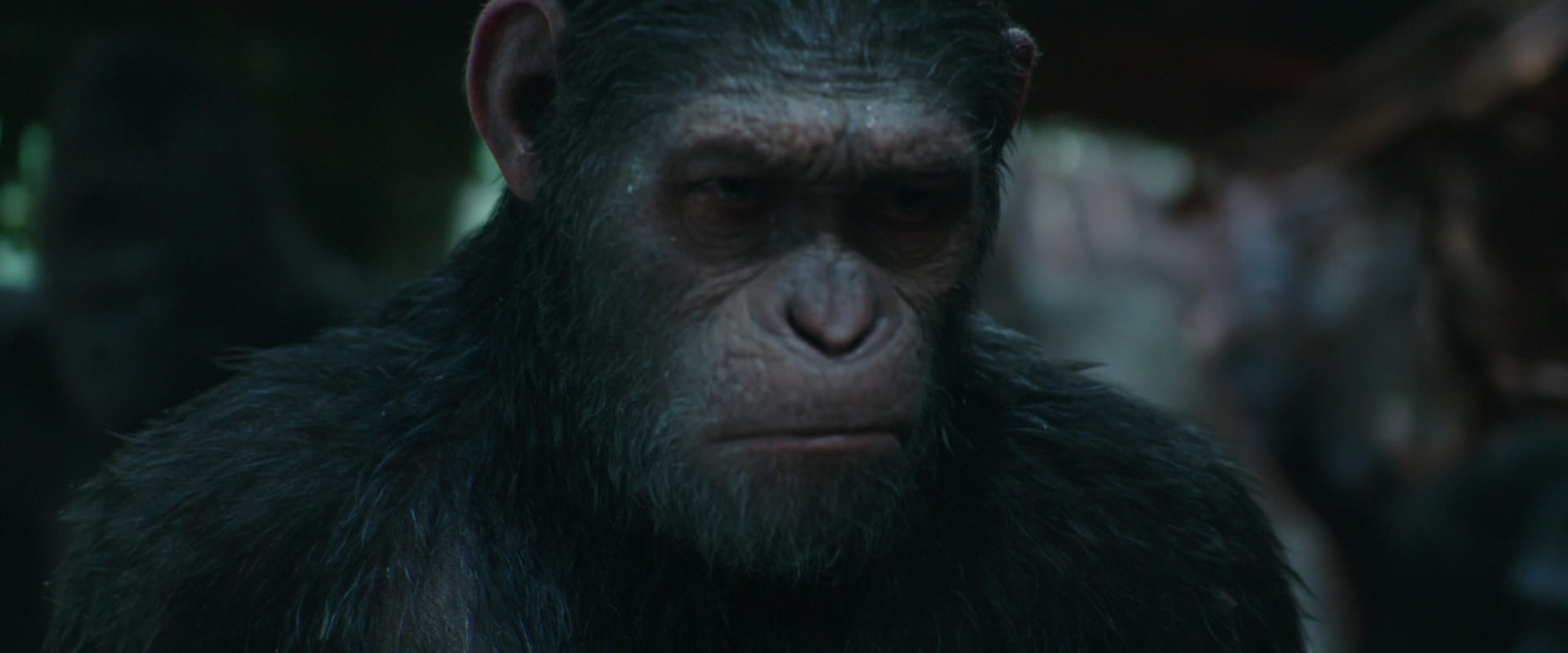 War for the Planet of the Apes (2017) screencap 819