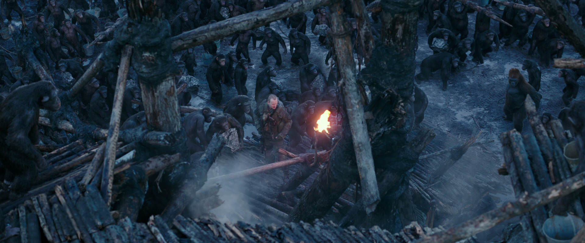 War for the Planet of the Apes (2017) screencap 8190