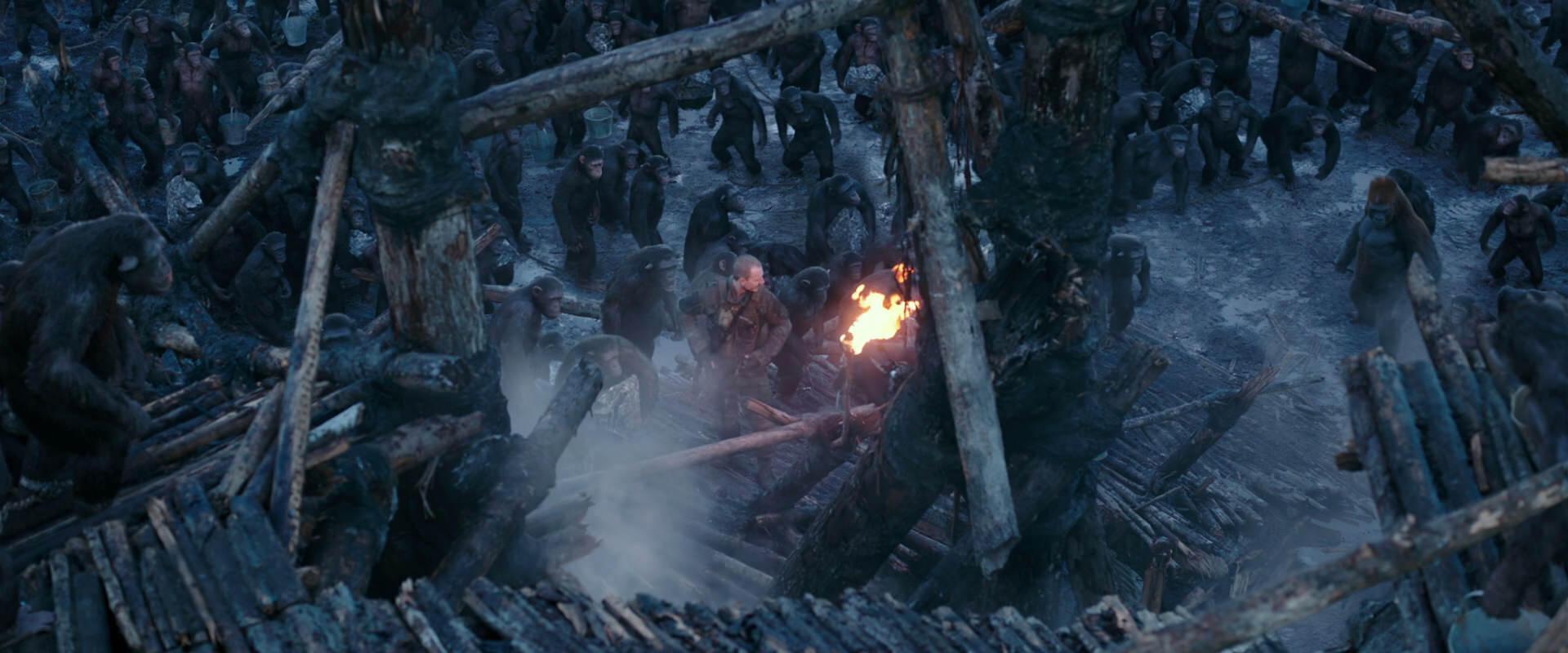 War for the Planet of the Apes (2017) screencap 8193