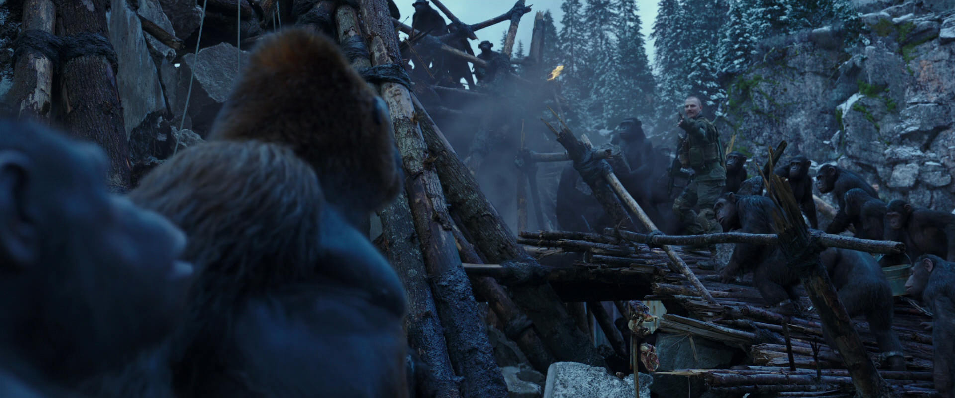 War for the Planet of the Apes (2017) screencap 8199