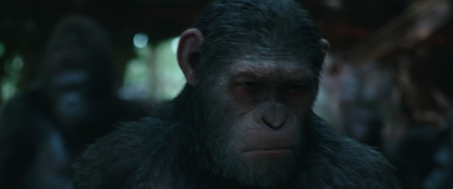 War for the Planet of the Apes (2017) movie still 820