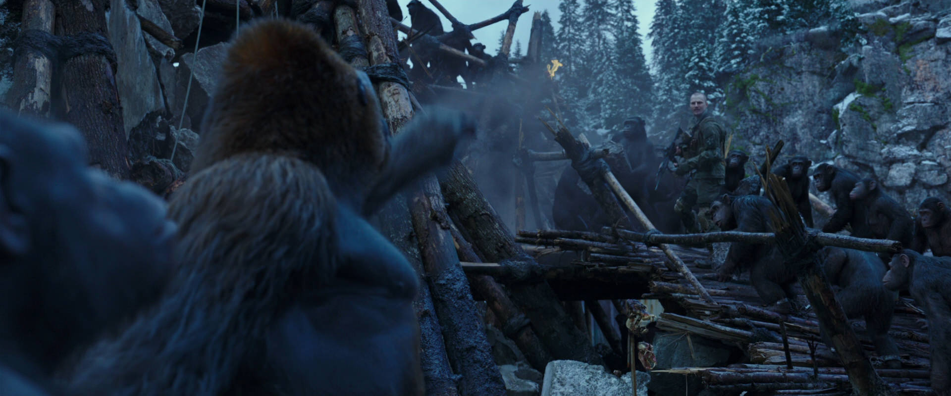 War for the Planet of the Apes (2017) movie still 8200