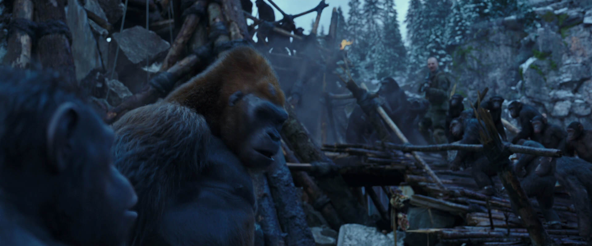 War for the Planet of the Apes (2017) screencap 8202