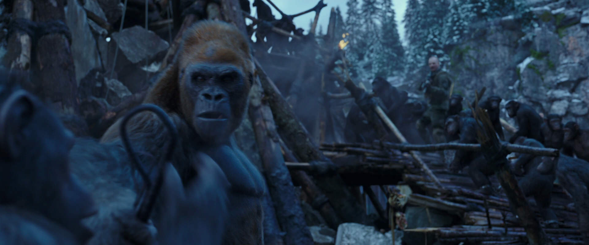 War for the Planet of the Apes (2017) movie still 8203