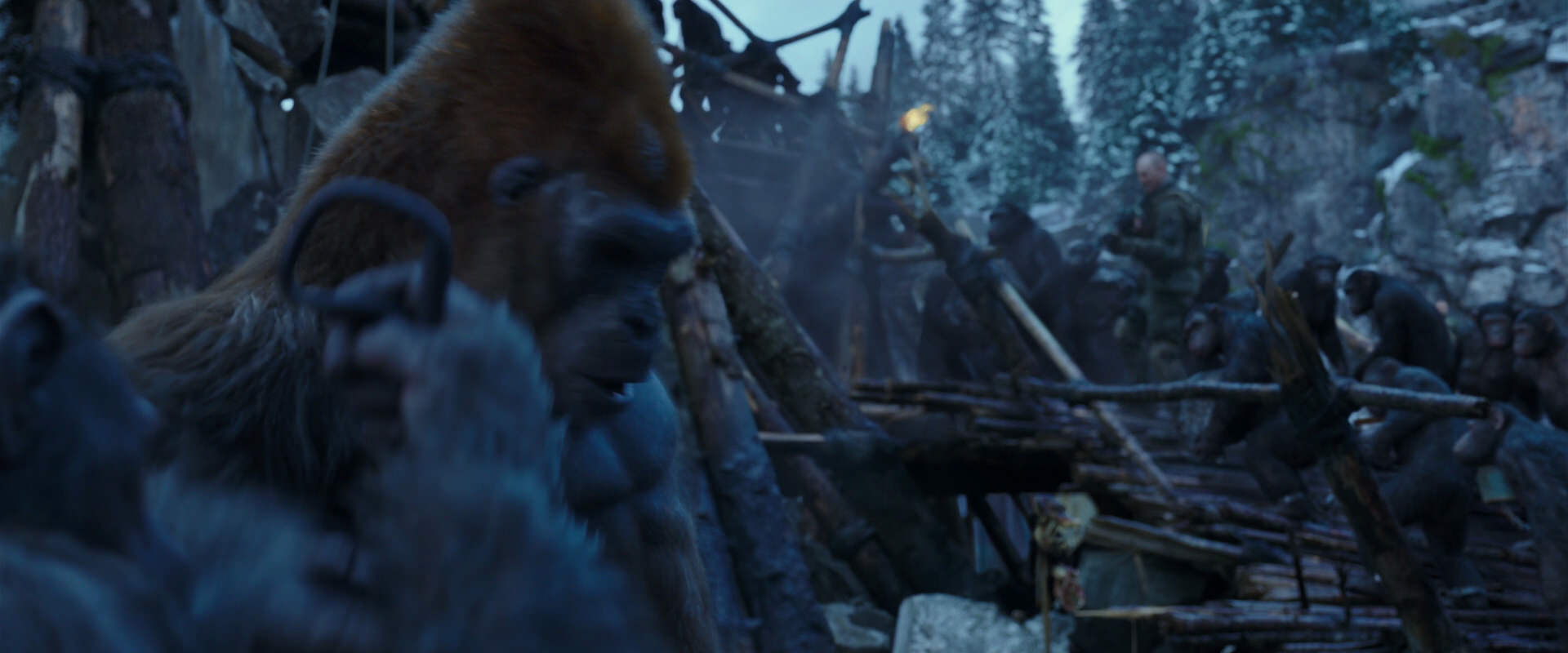 War for the Planet of the Apes (2017) HD screenshot 8204