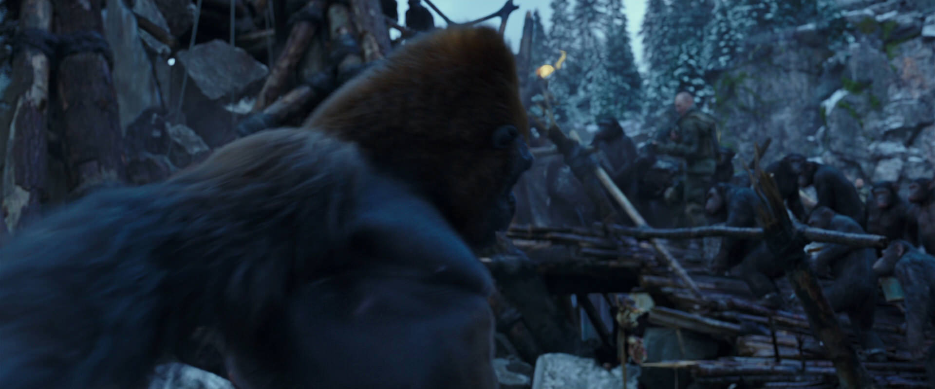 War for the Planet of the Apes (2017) screencap 8205