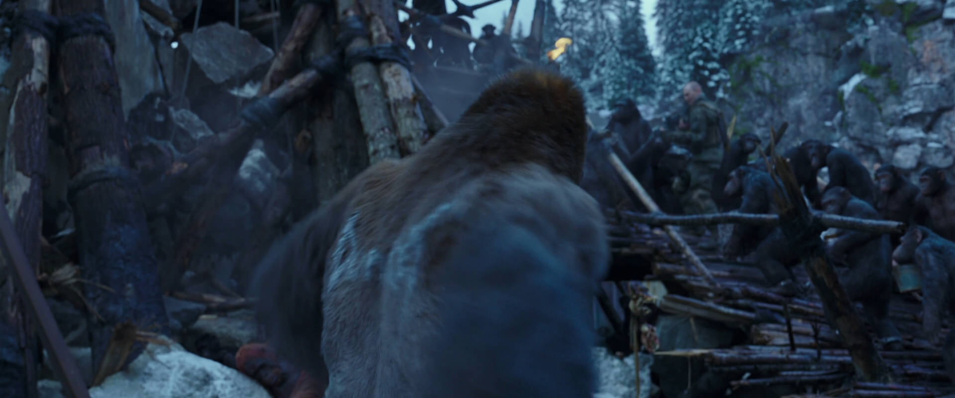 War for the Planet of the Apes (2017) movie still 8206