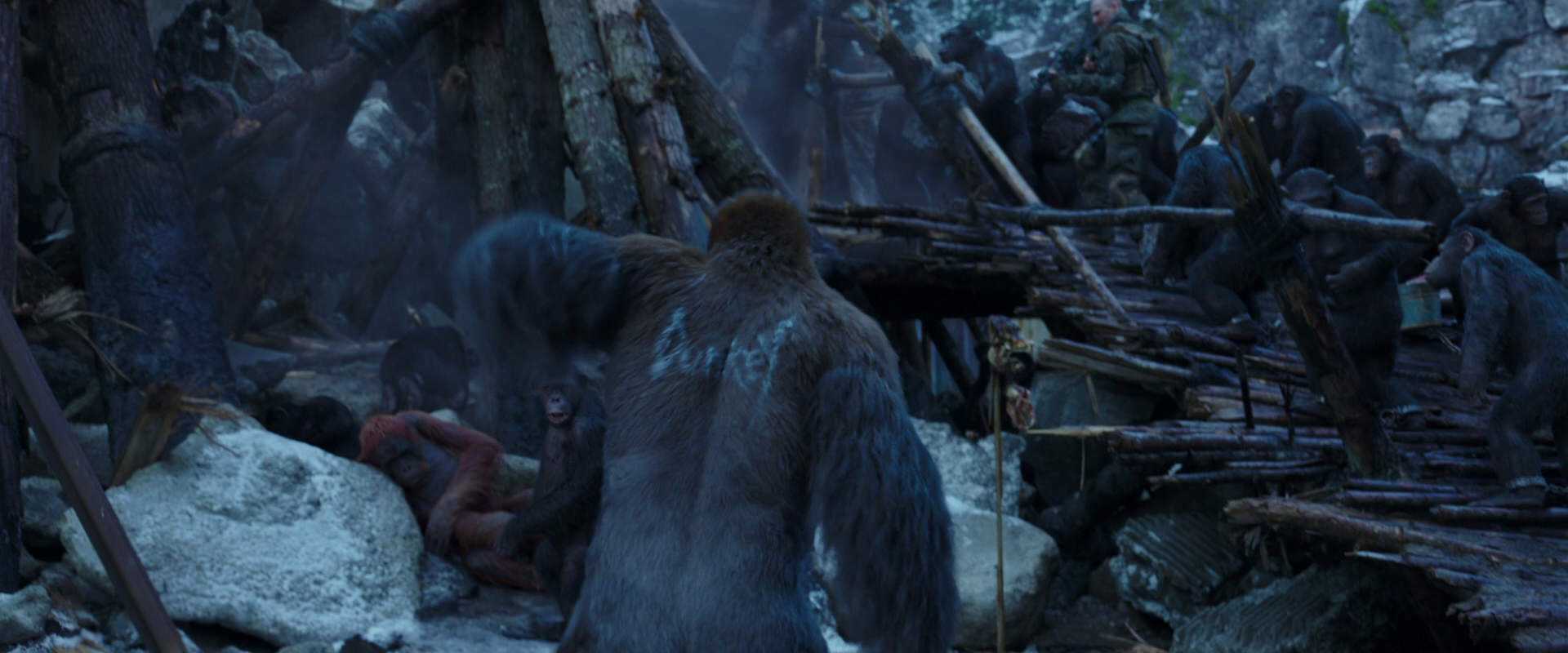 War for the Planet of the Apes (2017) screencap 8208
