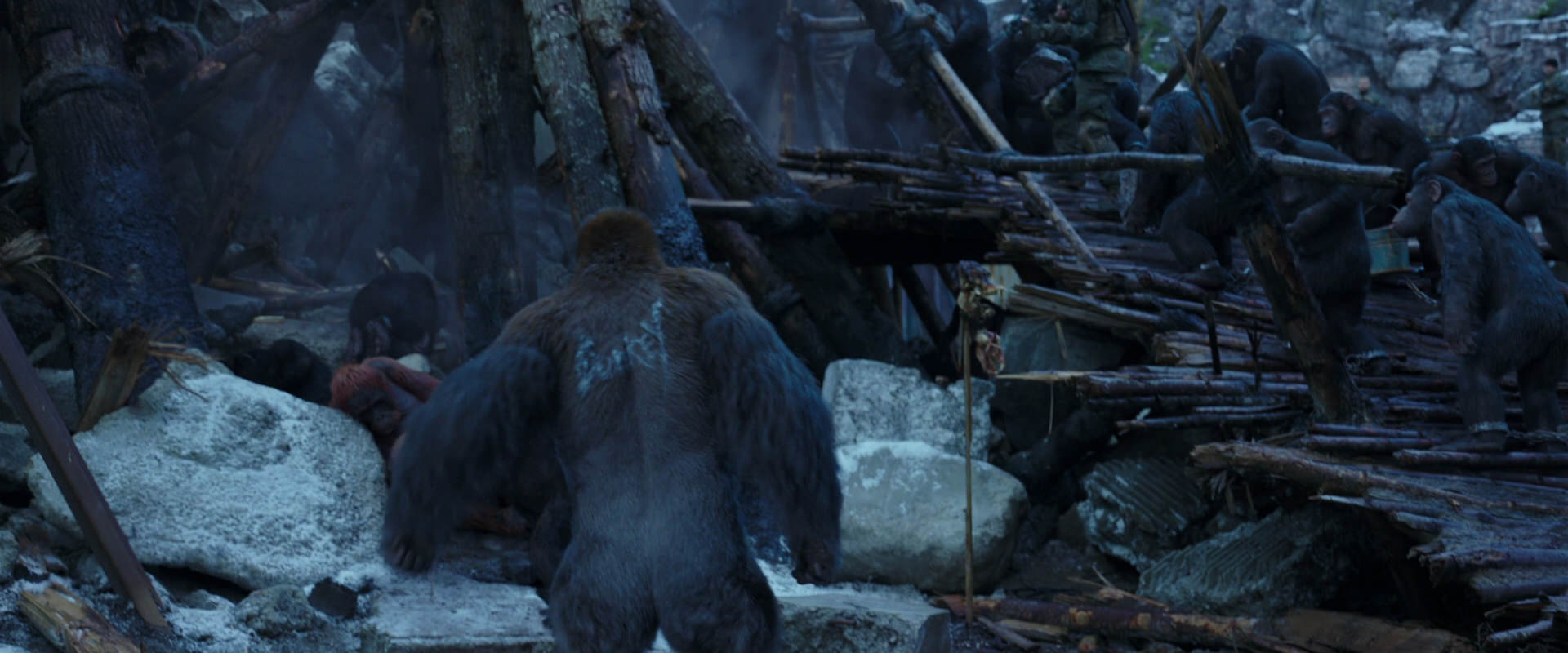 War for the Planet of the Apes (2017) movie still 8209