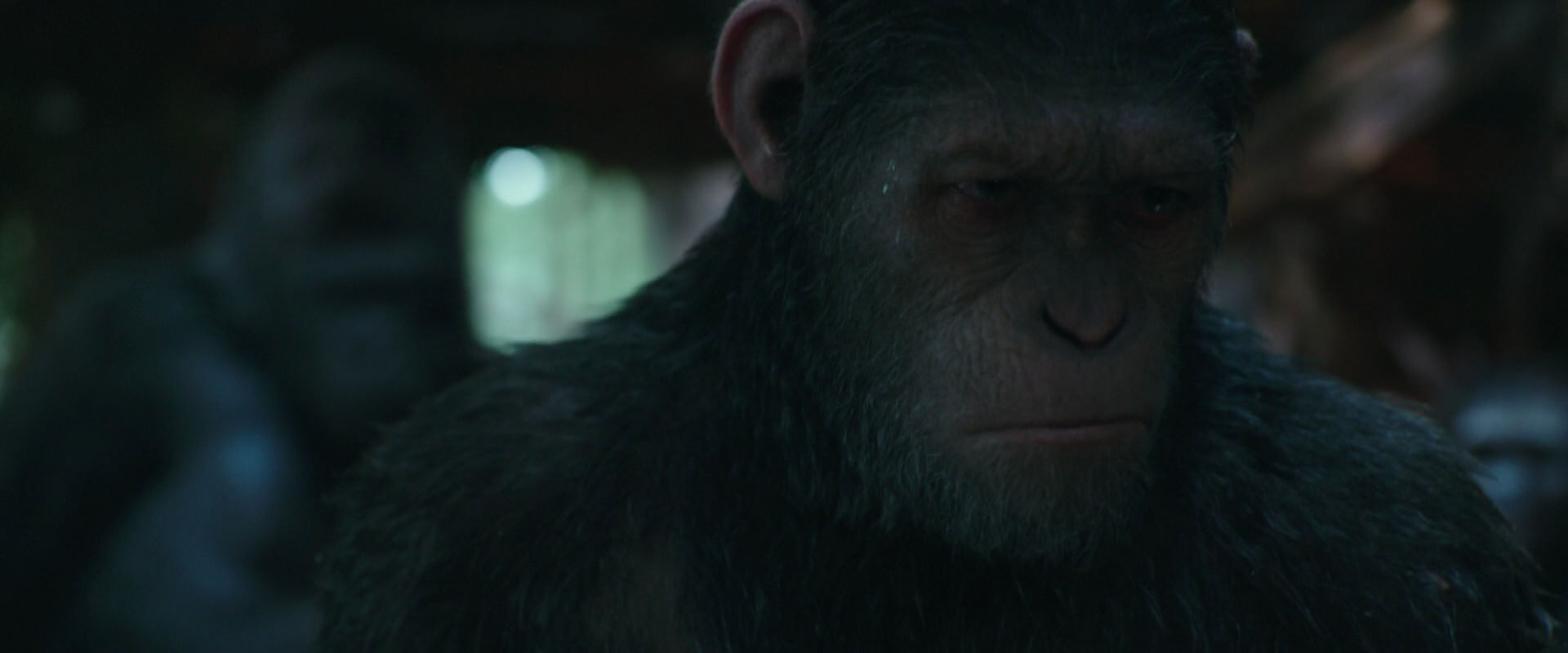War for the Planet of the Apes (2017) HD screenshot 821