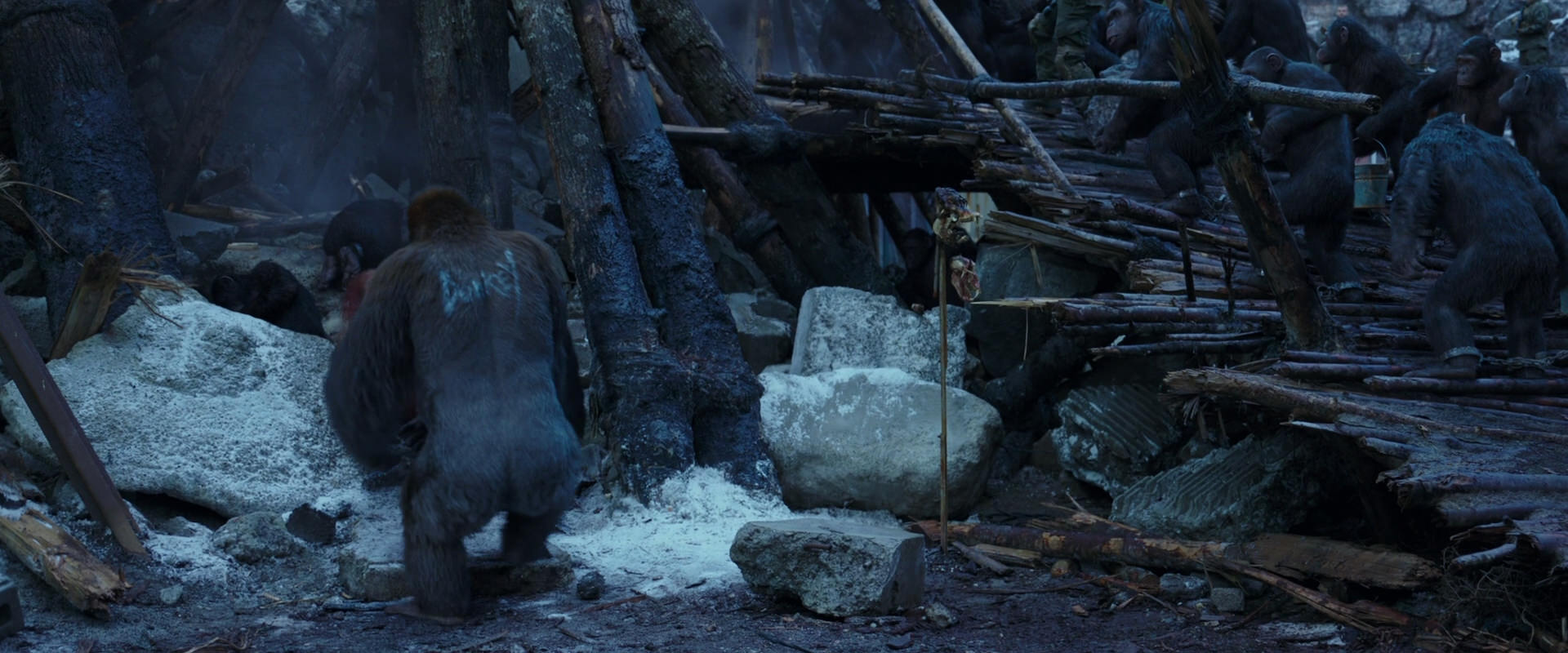 War for the Planet of the Apes (2017) screencap 8211