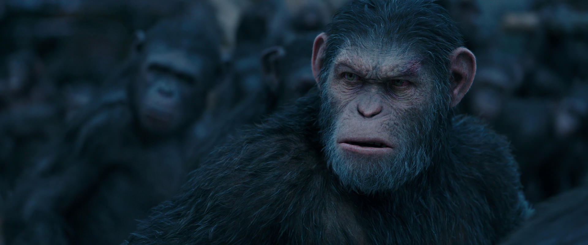War for the Planet of the Apes (2017) screencap 8214