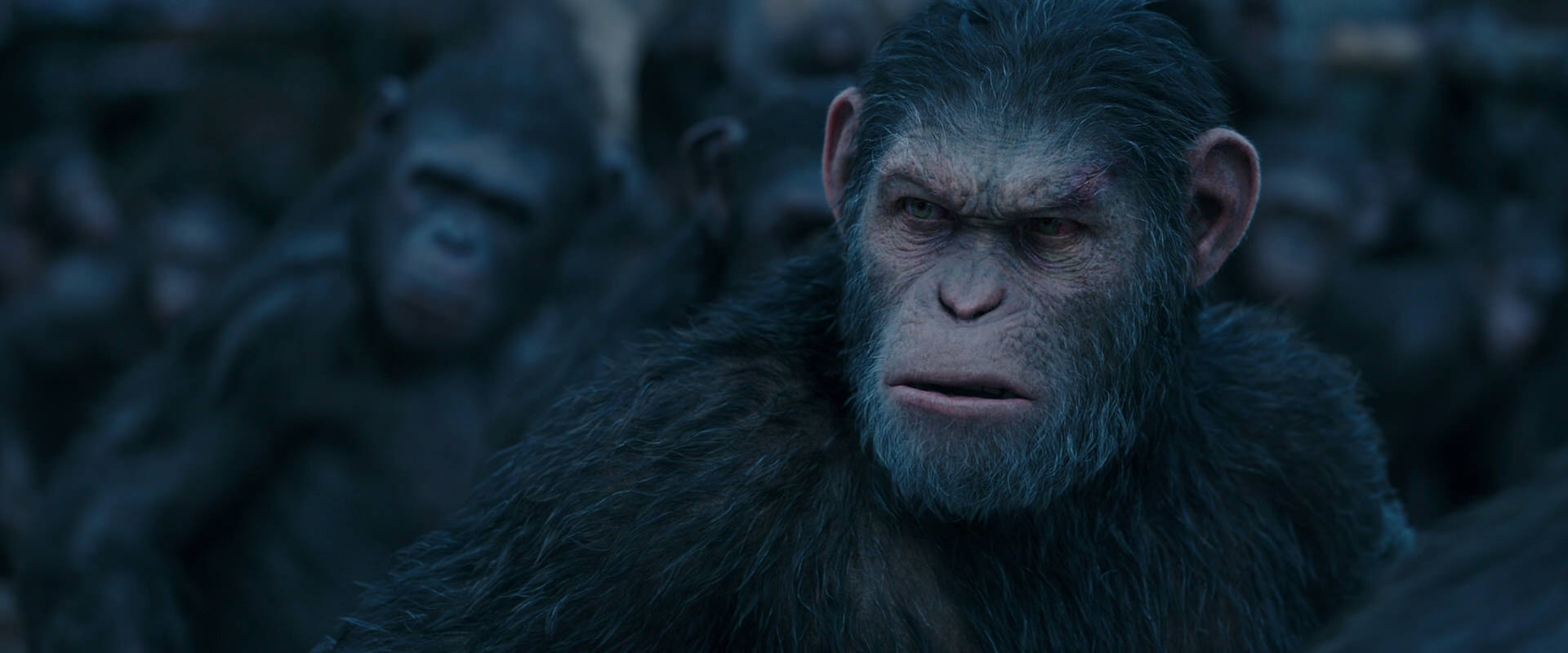War for the Planet of the Apes (2017) movie still 8215