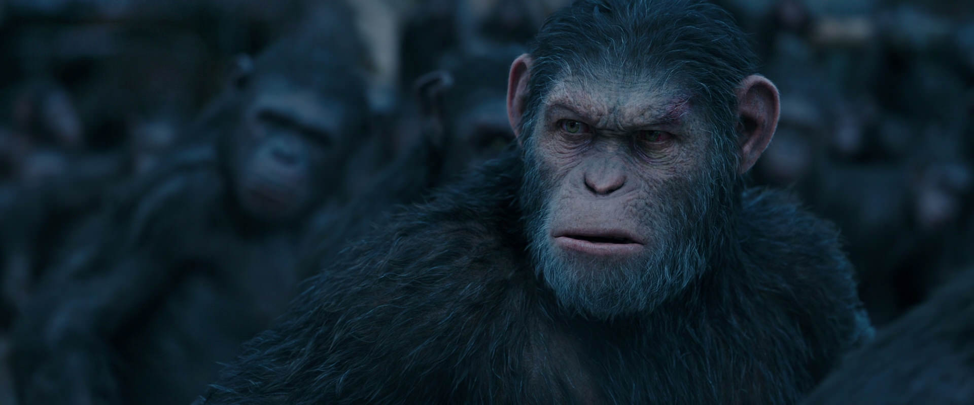 War for the Planet of the Apes (2017) HD screenshot 8216