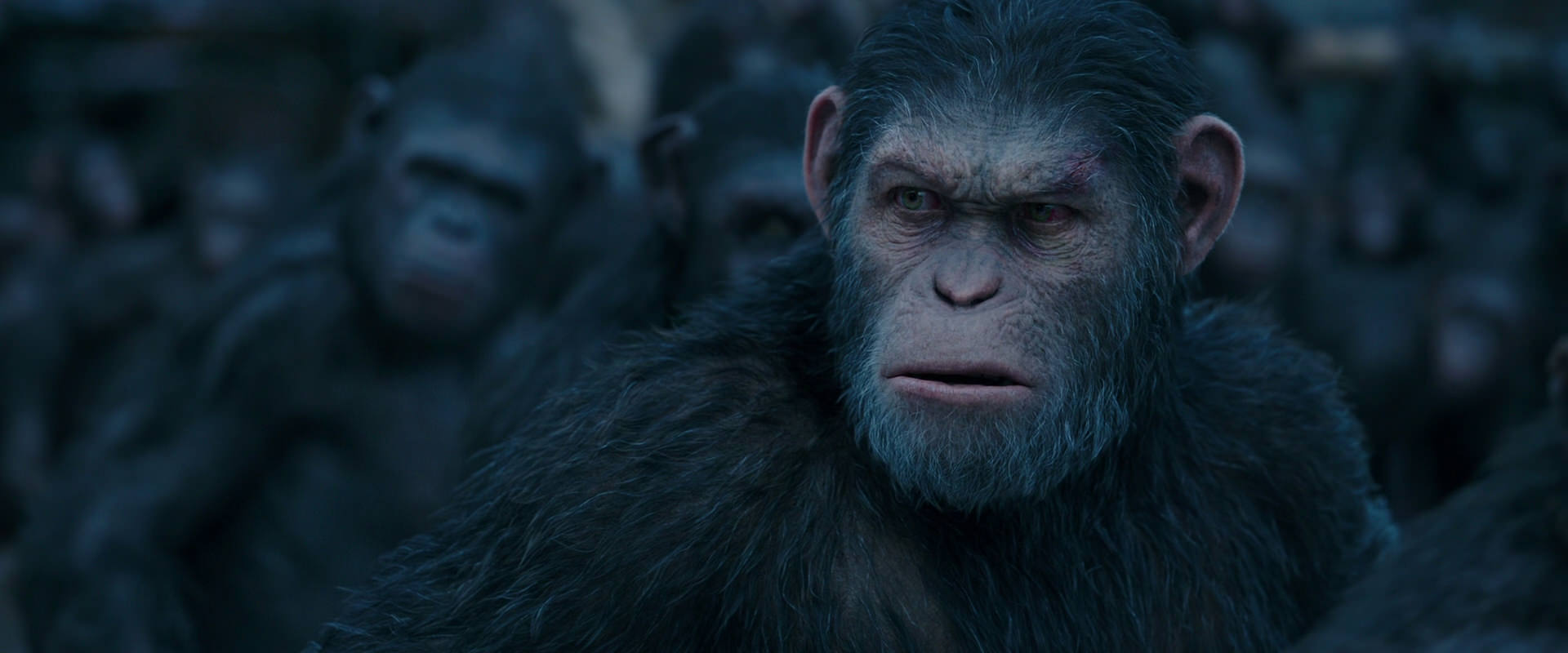 War for the Planet of the Apes (2017) screencap 8217