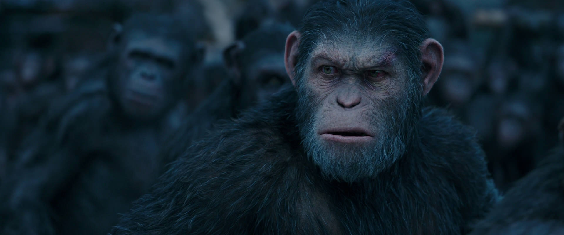 War for the Planet of the Apes (2017) movie still 8218